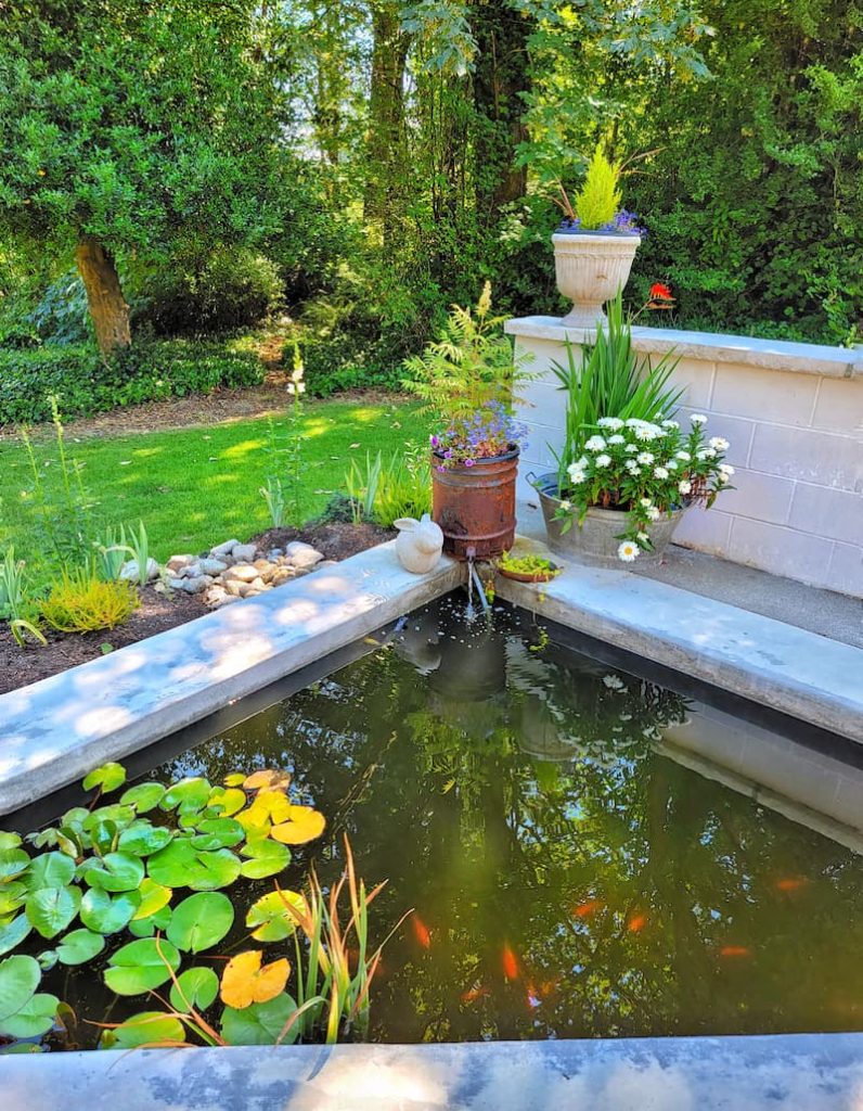 fish pond with vintage fountain