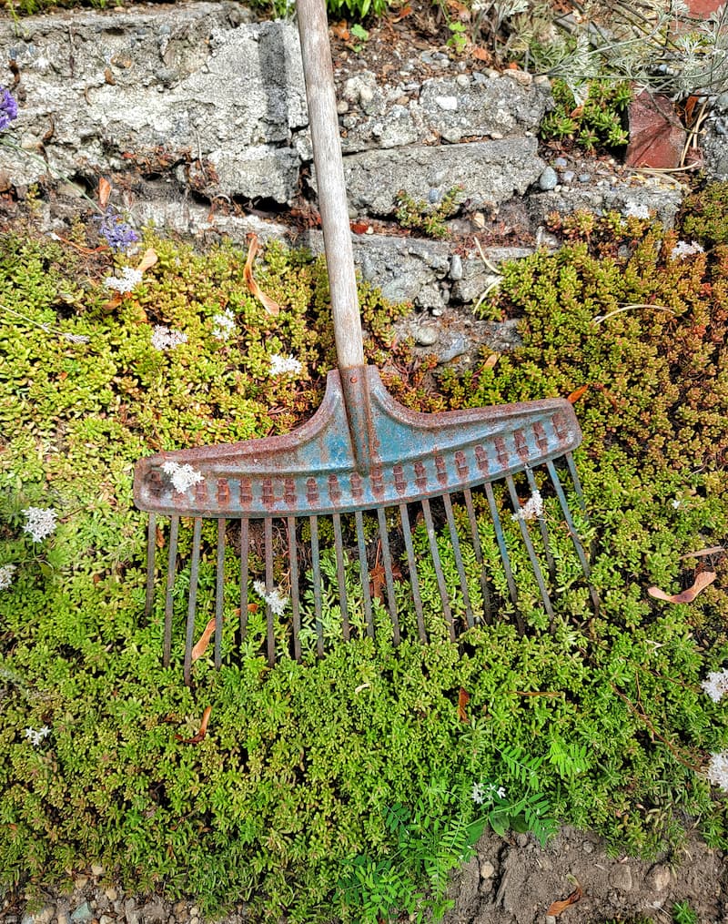 vintage garden rake