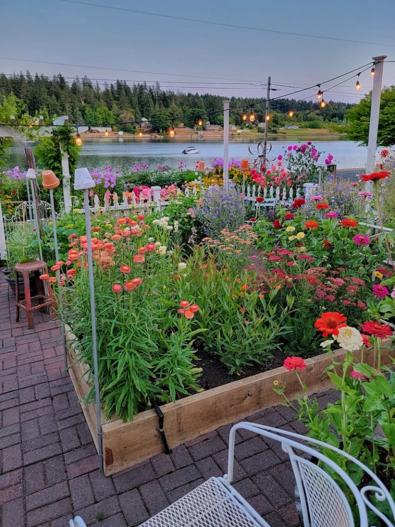raised bed cutting garden with summer flowers