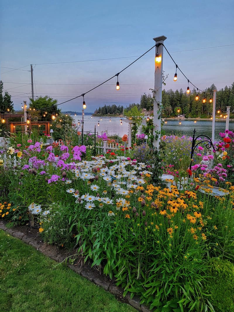 cut flower garden evening summer view overlooking the bay