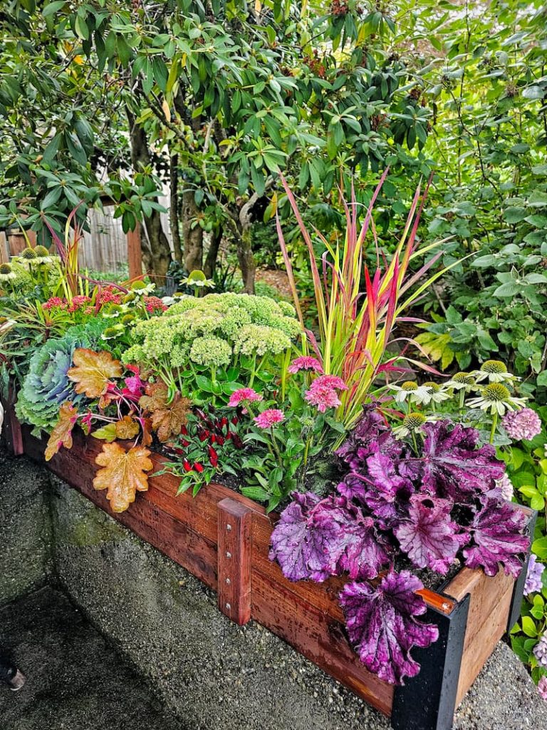 Outdoor Fall Decorating Ideas: wooden planter with fall blooms