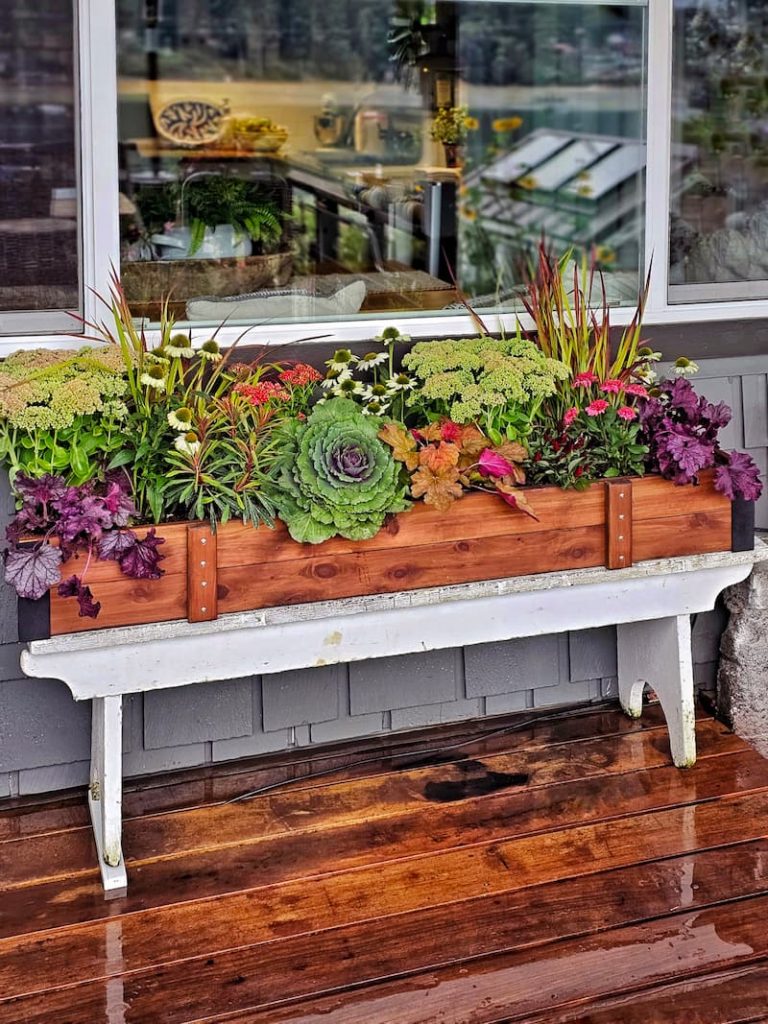 fall flowers and plants in DutchCrafters Amish window box