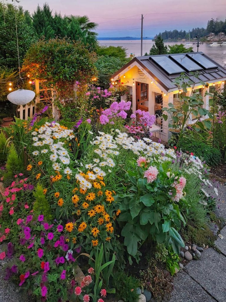 late summer greenhouse and cottage garden