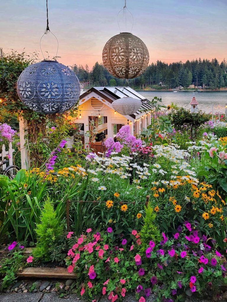 summer cottage garden with lanterns and greenhouse