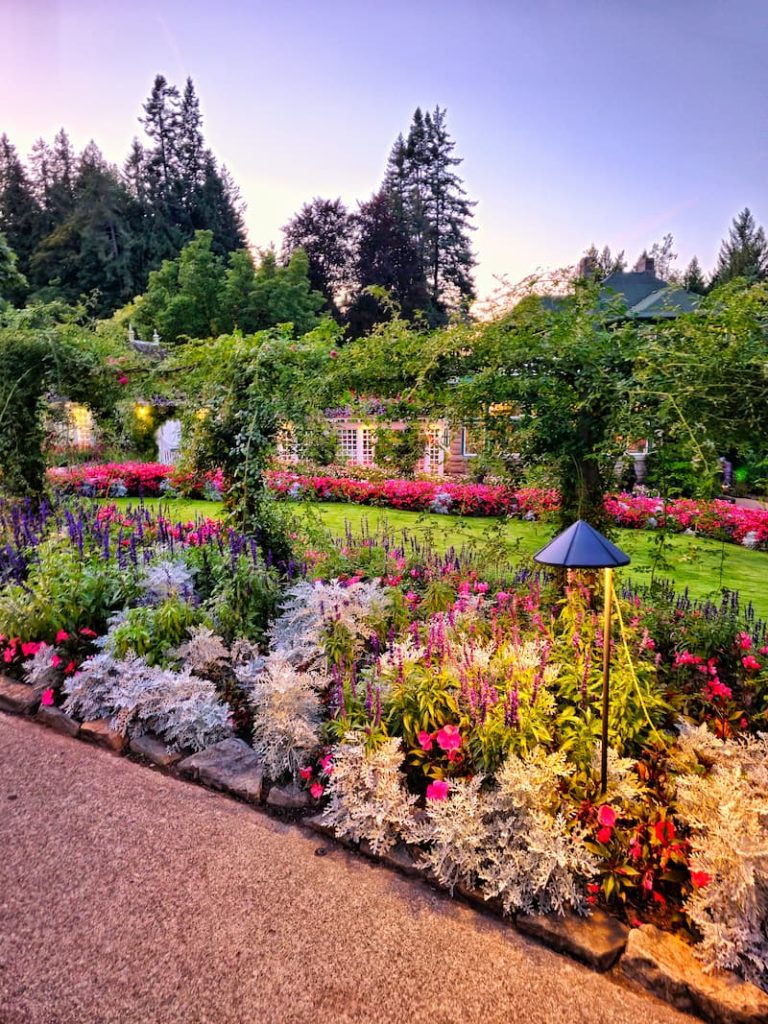 The Butchart Gardens flower beds in early evening