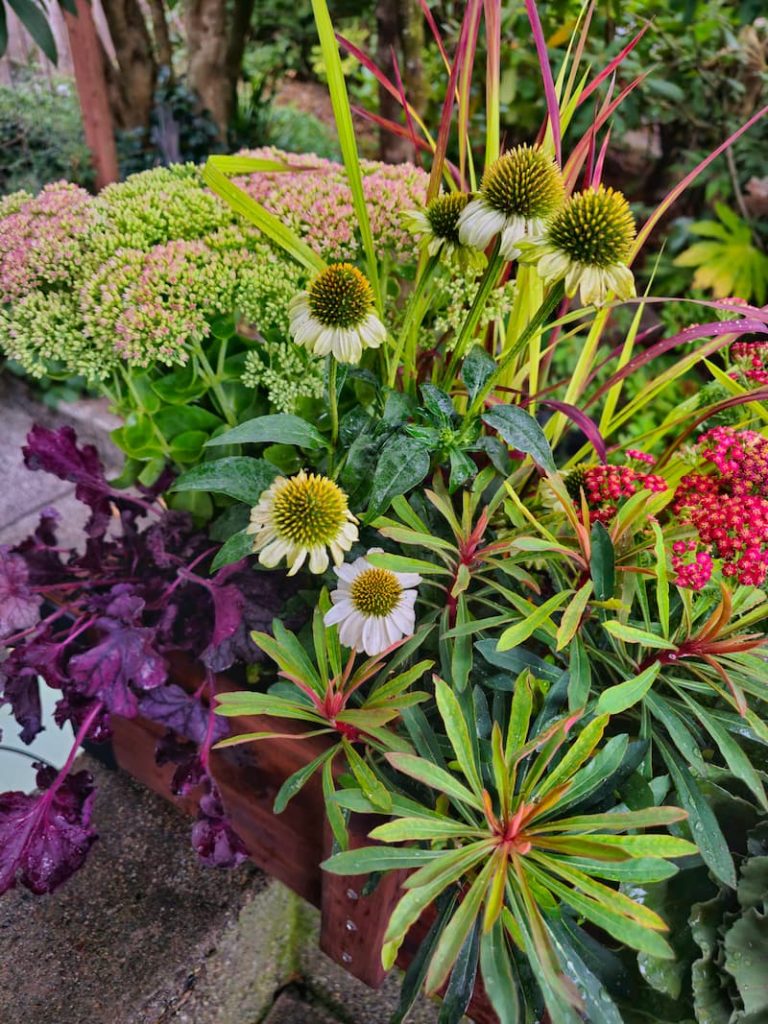 Fall Perennials That Will Give Your Cottage Garden the Wow Factor
