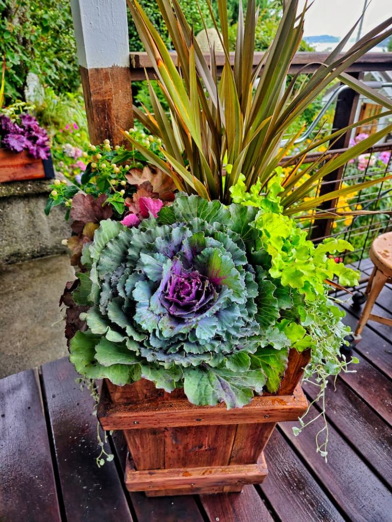 fall foliage and flowers in planter