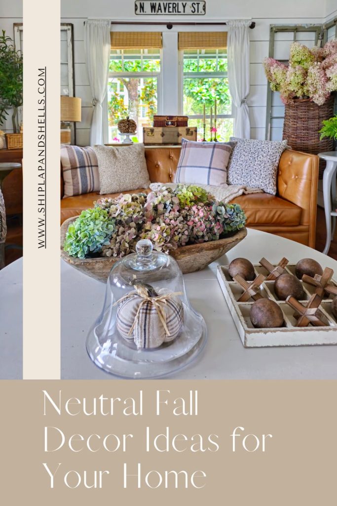 neutral fall decor items for your home
