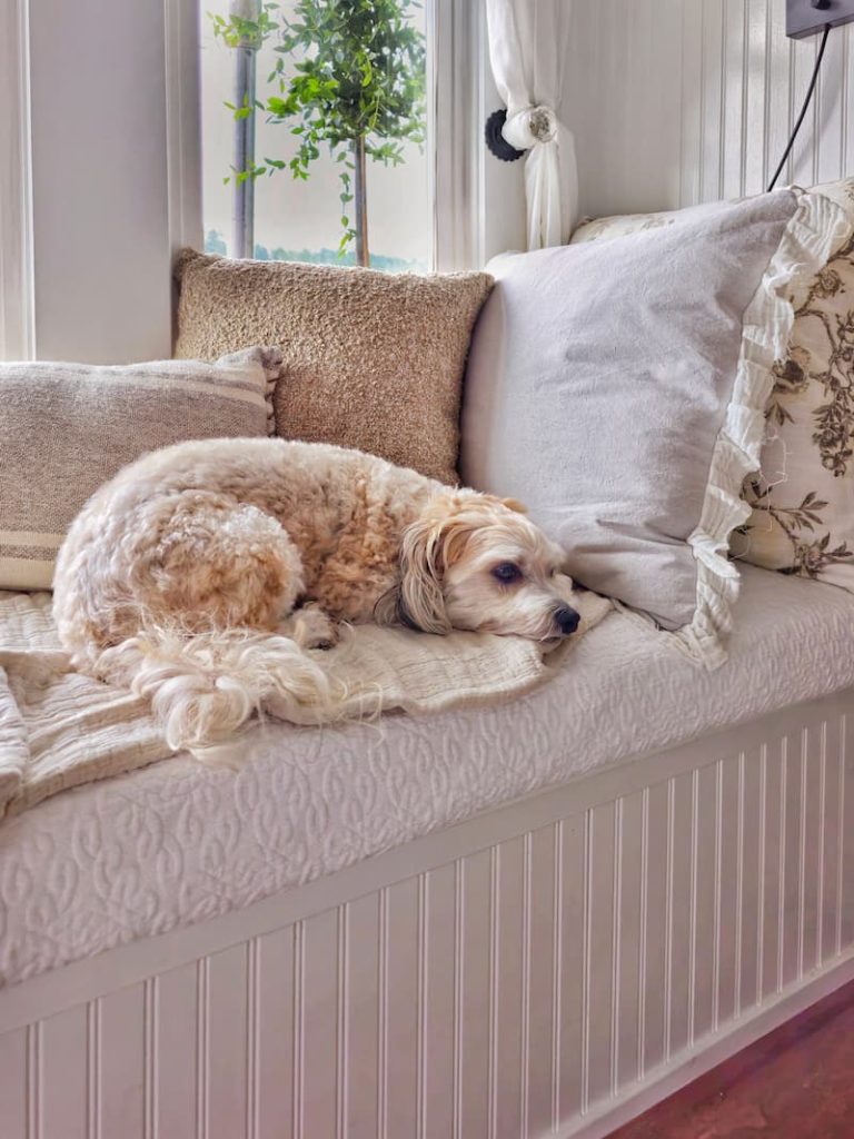 window seat with neutral pillows and throws and dog