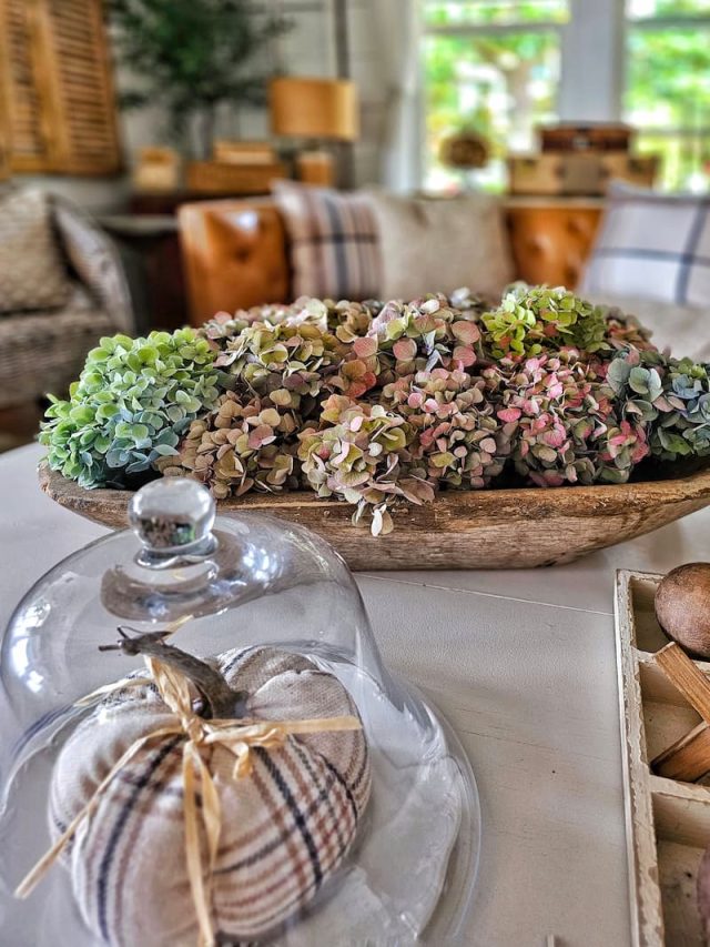 Neutral Fall Decor Ideas for a Warm and Comfy Cottage - Shiplap and Shells