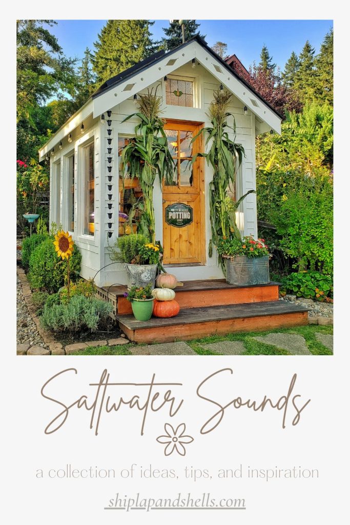 Saltwater Sounds graphic with fall greenhouse