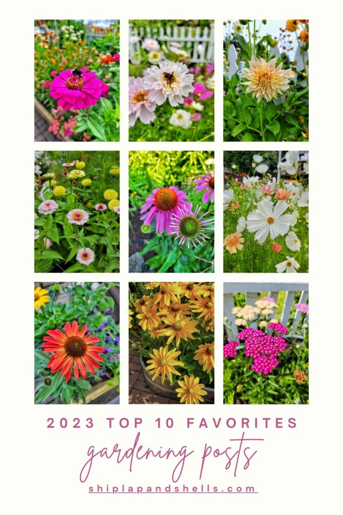 2023 top 10 favorites gardening posts