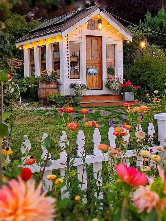 cropped-Late-summer-evening-greenhouse-SQ.jpg