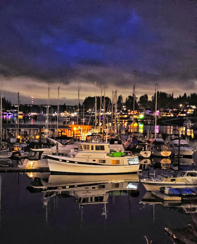 Saltwater Sounds Weekly: Bundling Up in Seattle