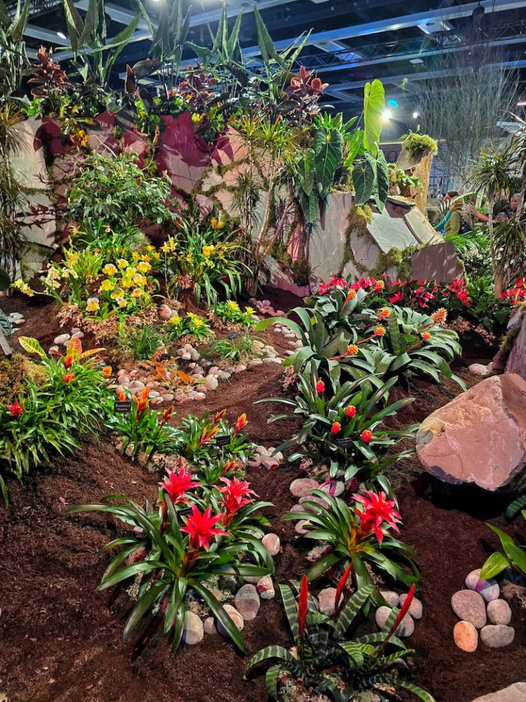 tropical garden displays