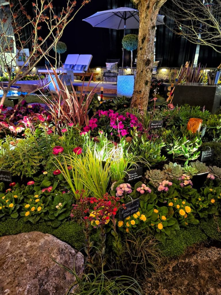 flower garden display at the Northwest flower and garden festival
