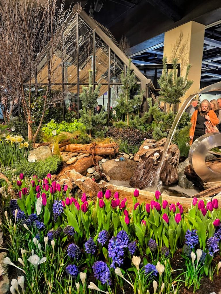 spring bulbs and water fountain garden display
