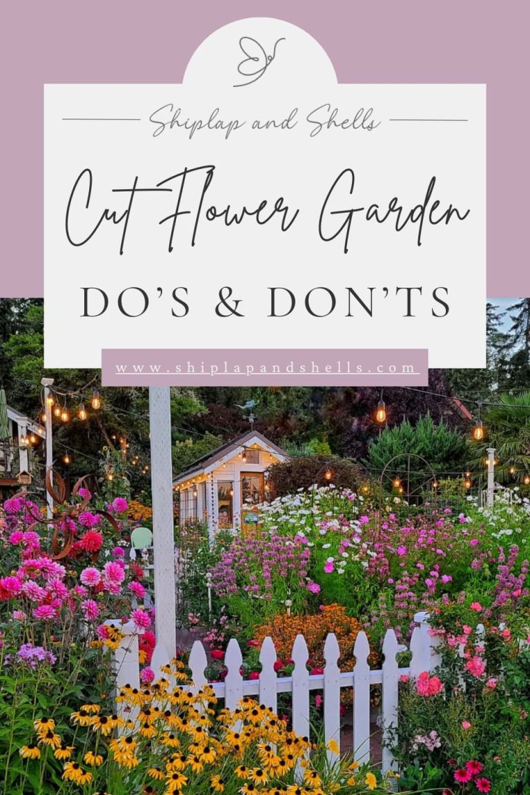 Cut Flower Garden Dos and Don’ts for Beginners - Shiplap and Shells