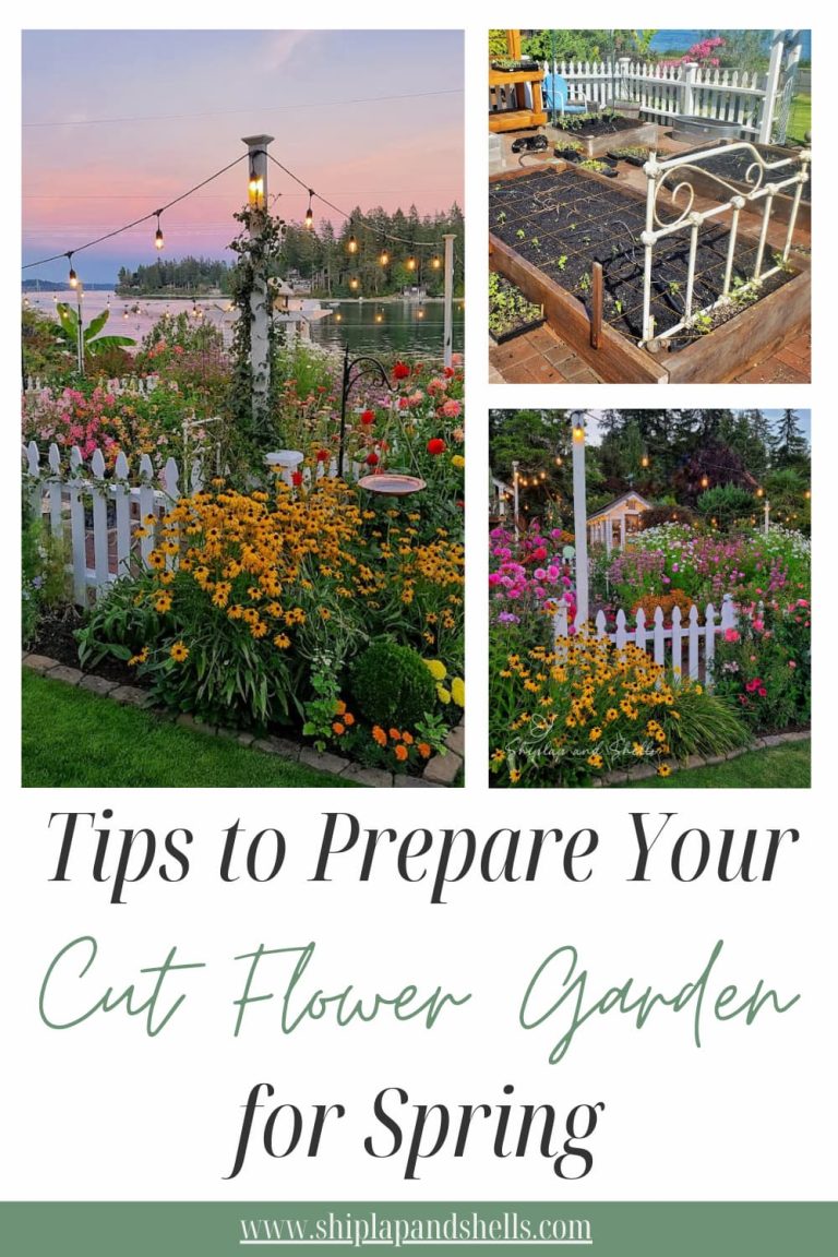 Preparing Cut Flower Garden Beds for Spring: Step-by-Step - Shiplap and ...