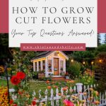 How to Grow Cut Flowers: Your Top Questions Answered