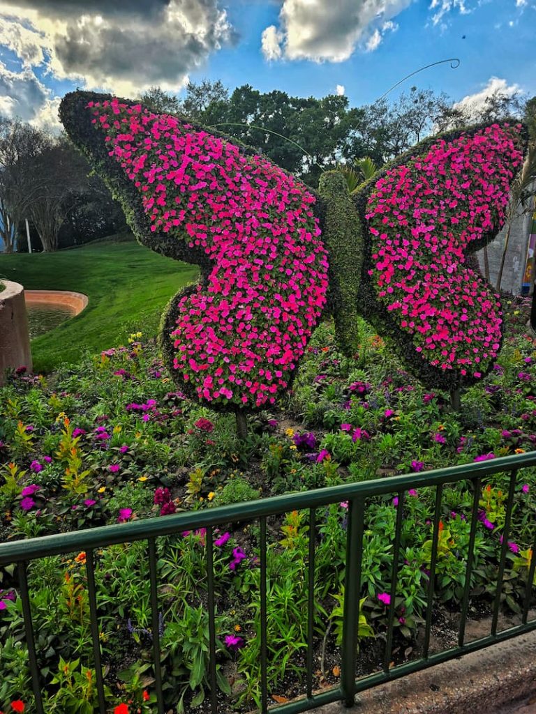 Epcot International flower and garden festival" floral butterfly display