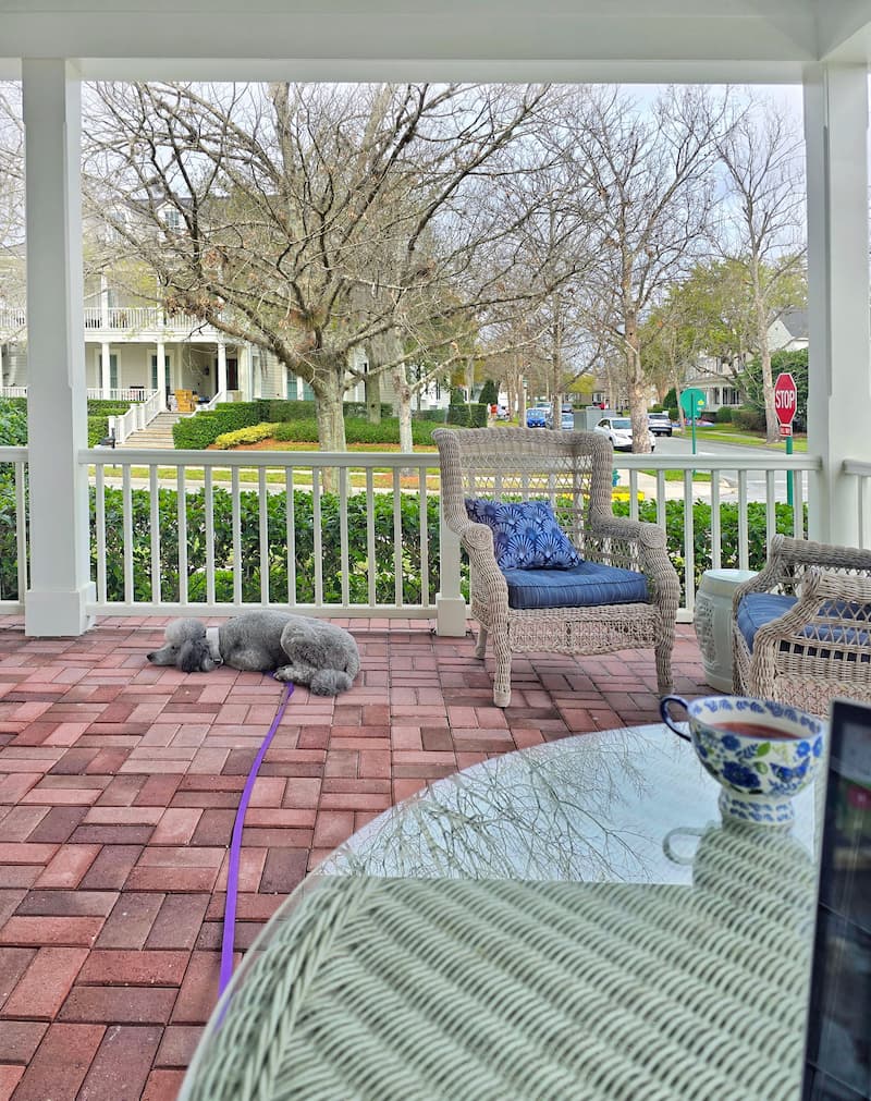 covered outdoor porch with dog laying on brick