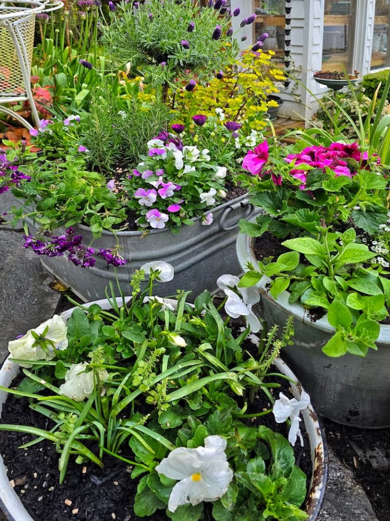spring flower containers