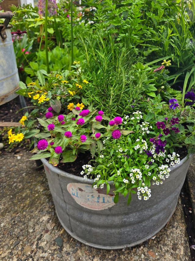 Efficient Ways to Water Flower Containers