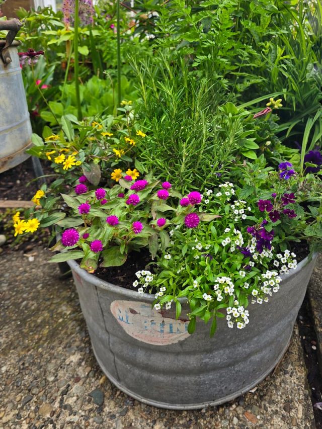 How a Simple Vintage Galvanized Bucket Makes the Perfect Flower ...