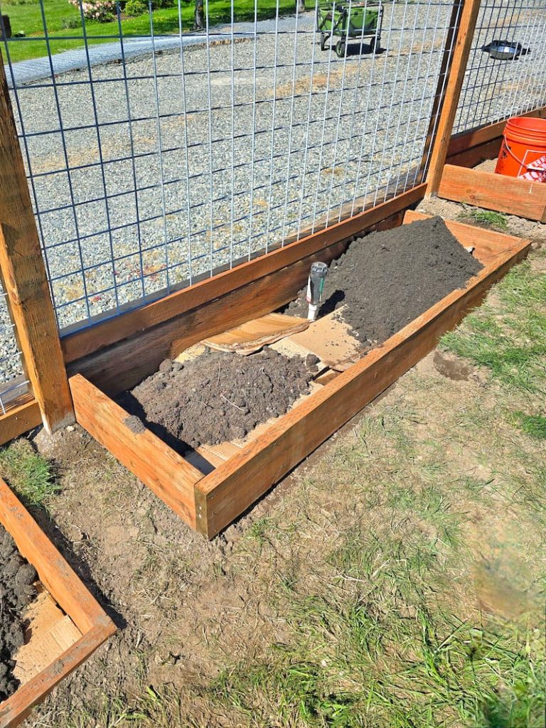 putting in new garden beds with cardboard and soil