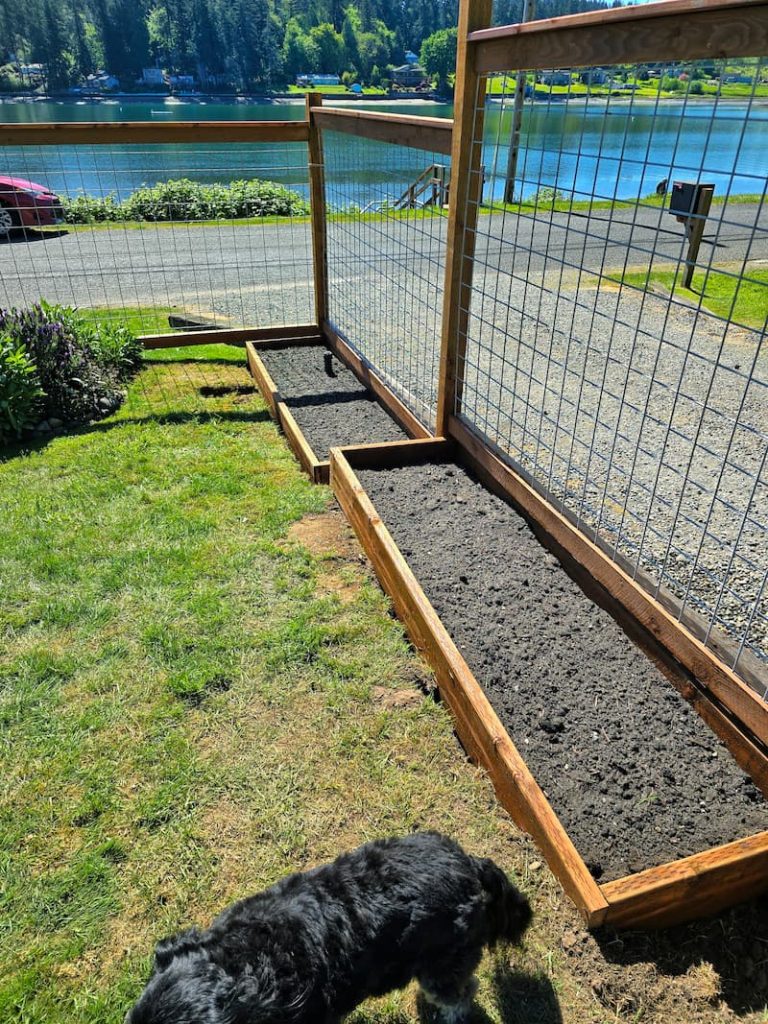 garden beds filled with dirt