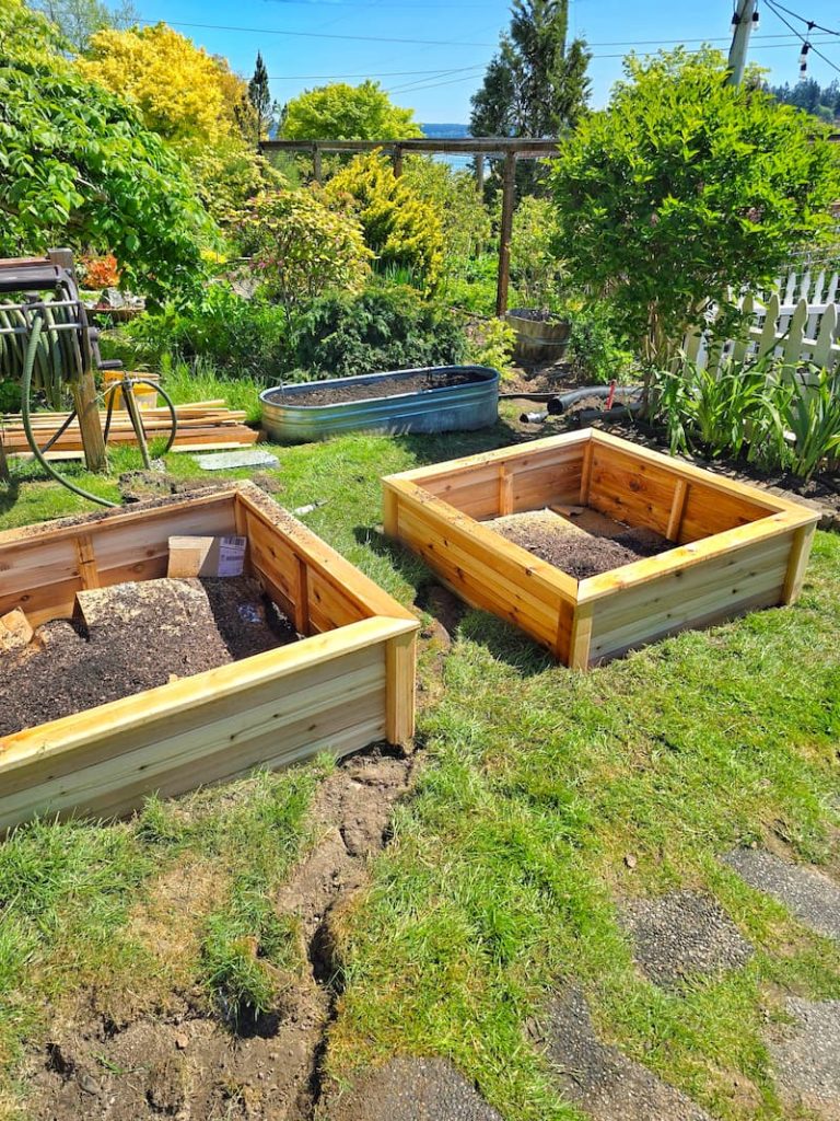 new raised beds in the garden
