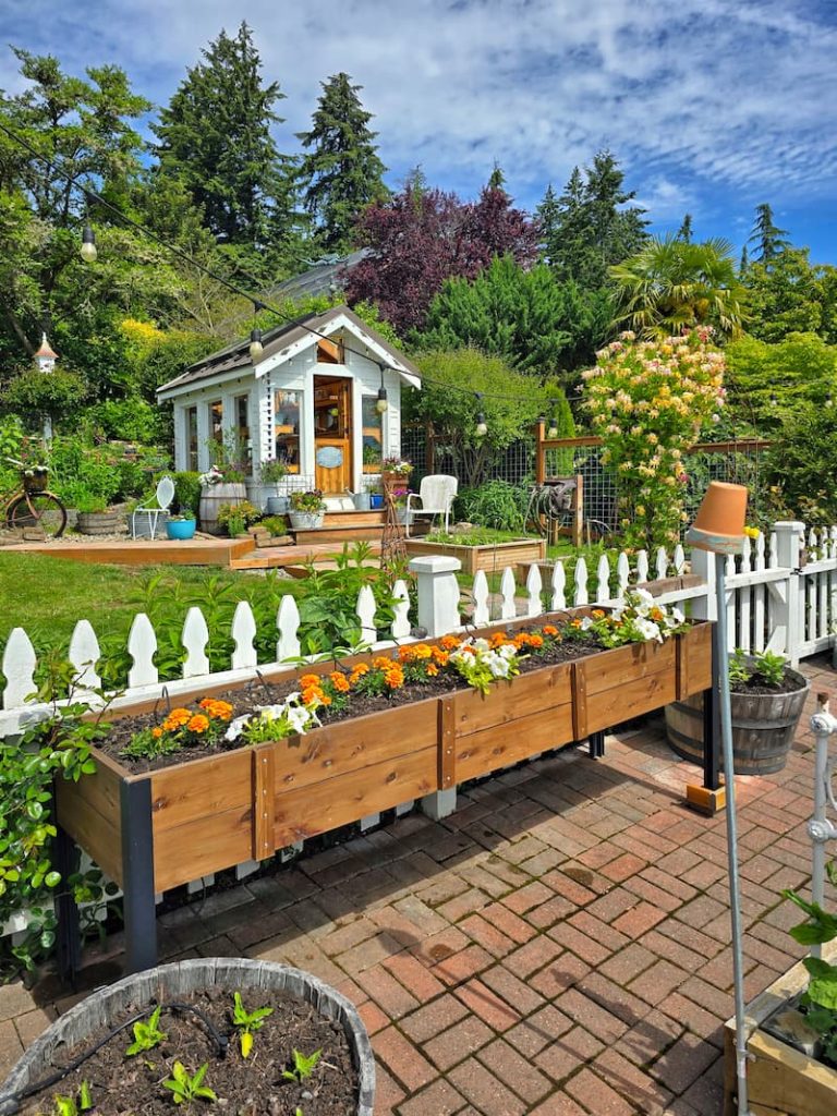 cut flower garden with greenhouse
