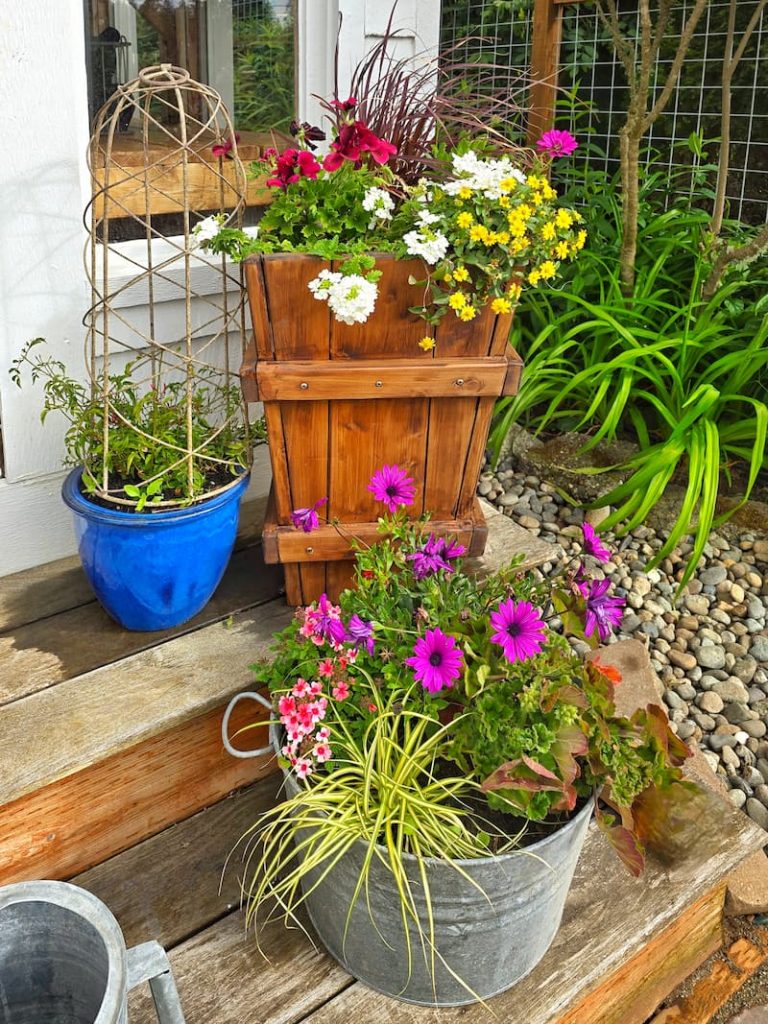 flower containers on the porch steps