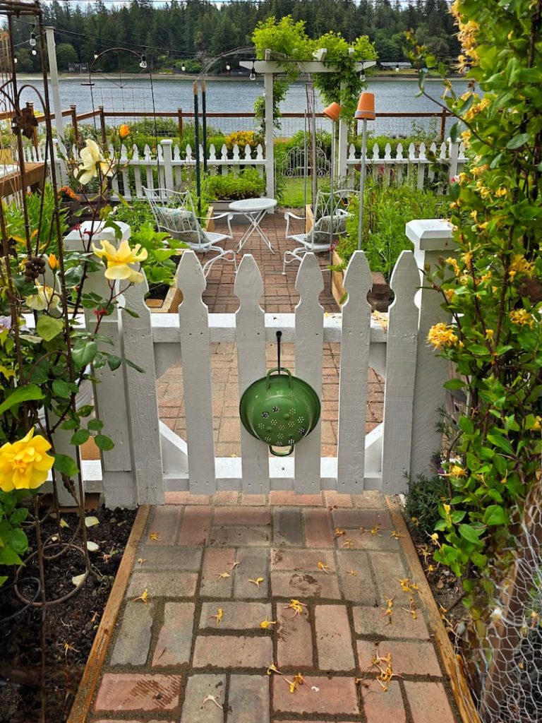 white picket fence gate with green colander going to the garden