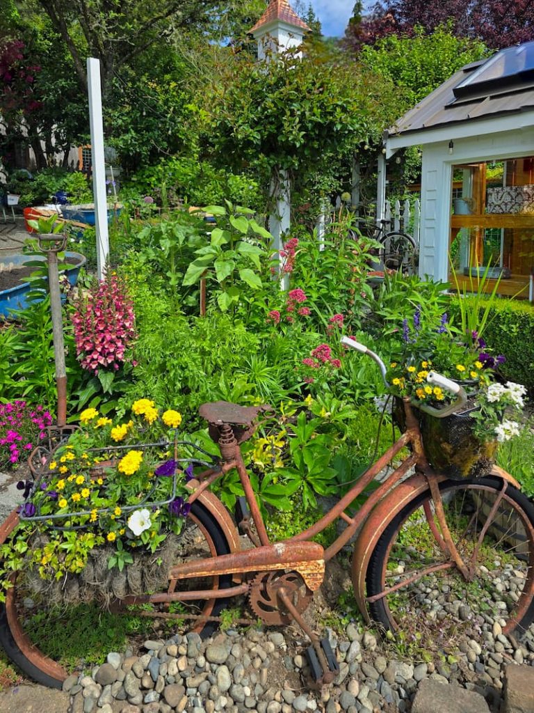 vintage bike with flowers growing in the baskets