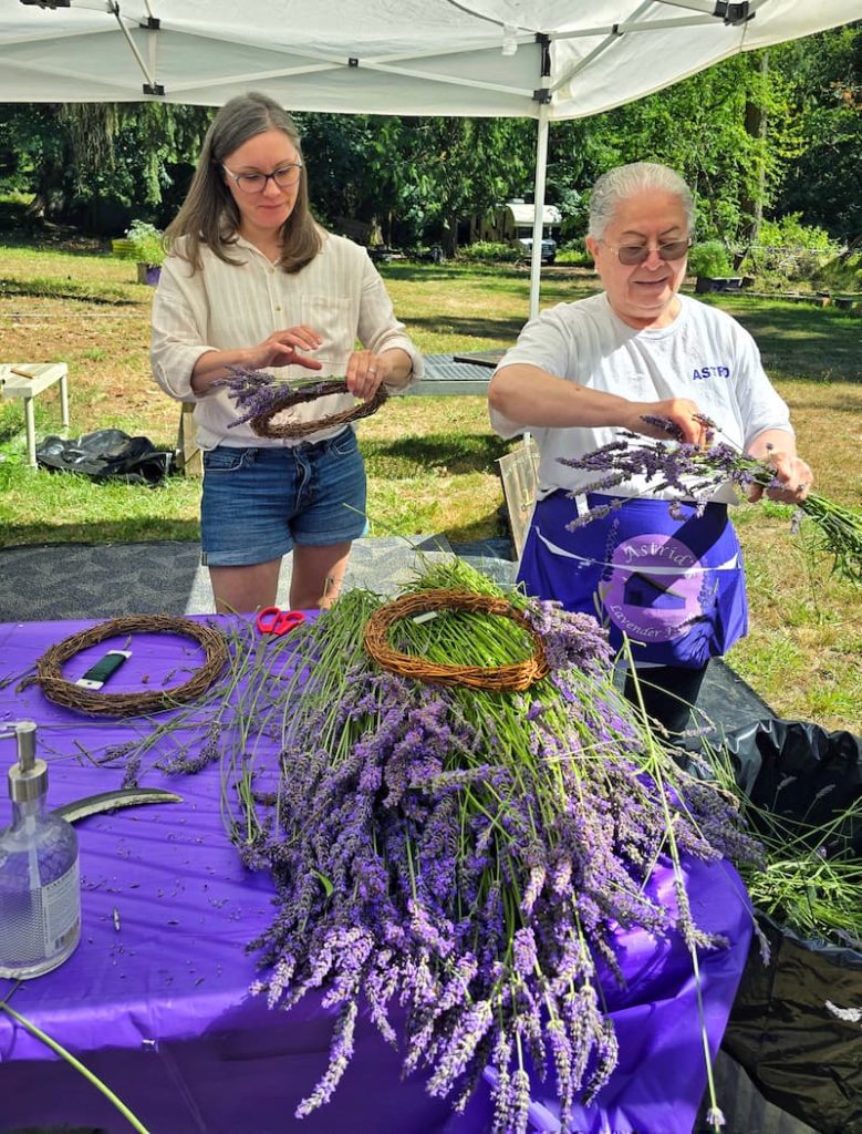 Astrid's Lavender Farm