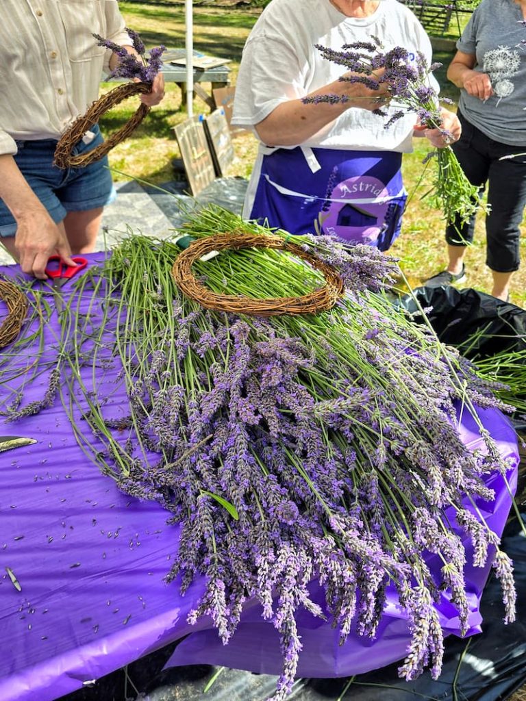 Astrid's Lavender Farm making lavender wreaths