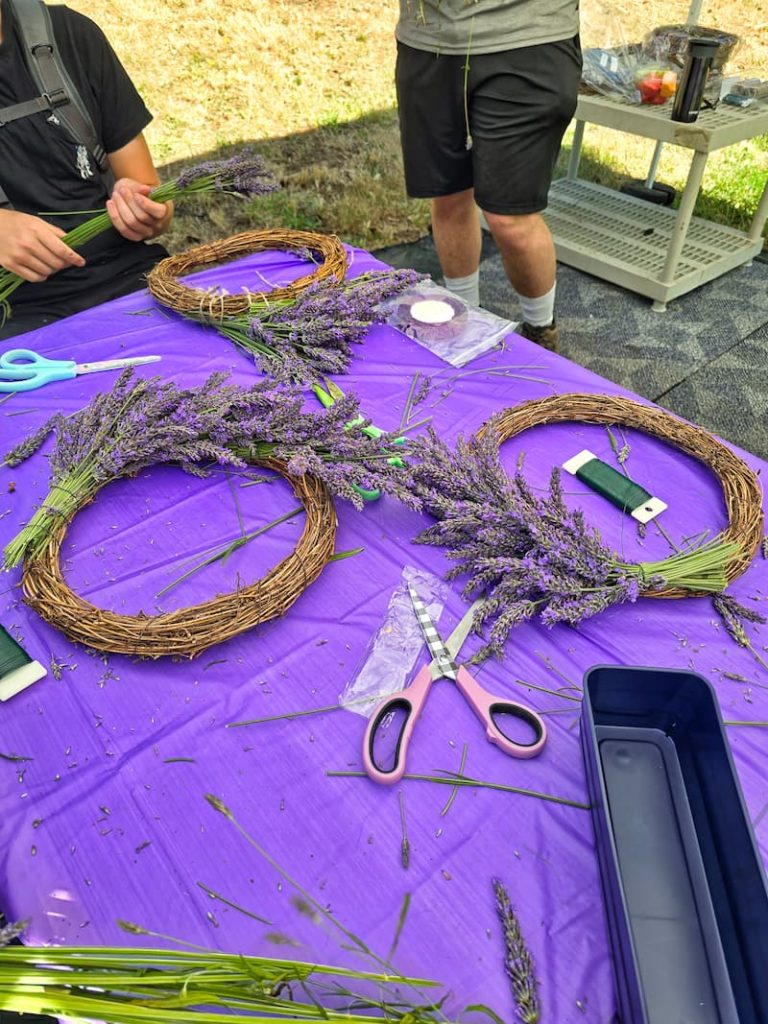 Astrid's Lavender Farm making lavender wreaths