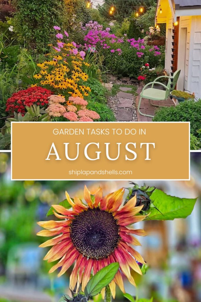 garden tasks to do in August