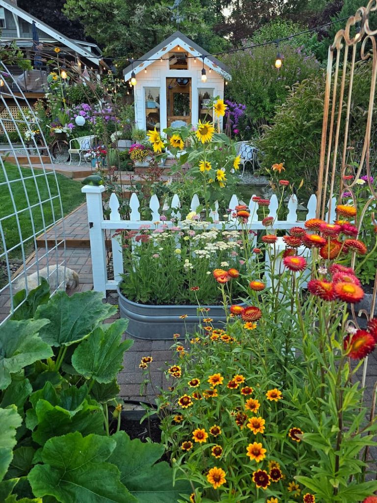 cut flower garden in July