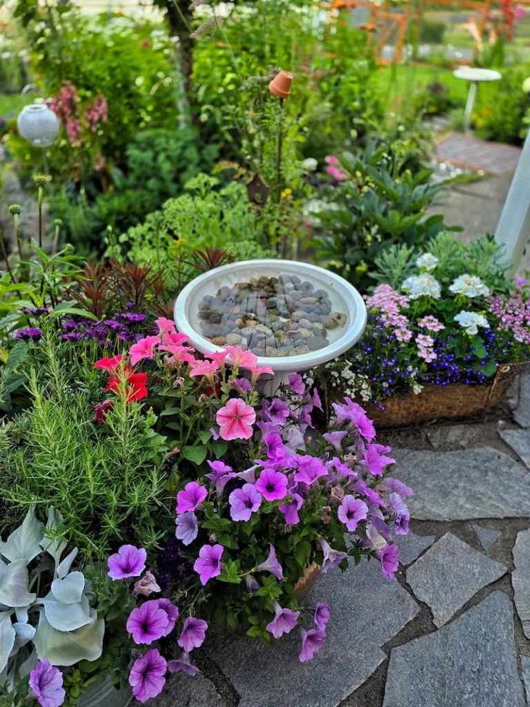 purple petunias in containers and birdbath on the patio garden