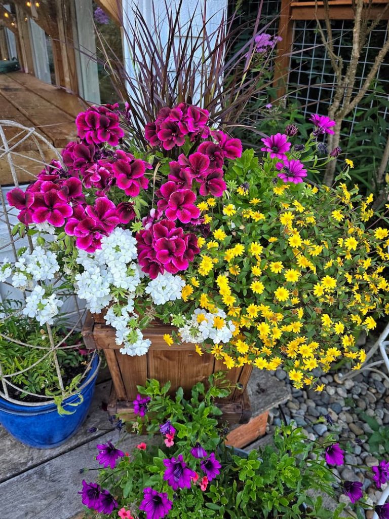 summer flower containers