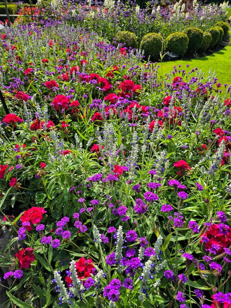 The Butchart Gardens flower beds