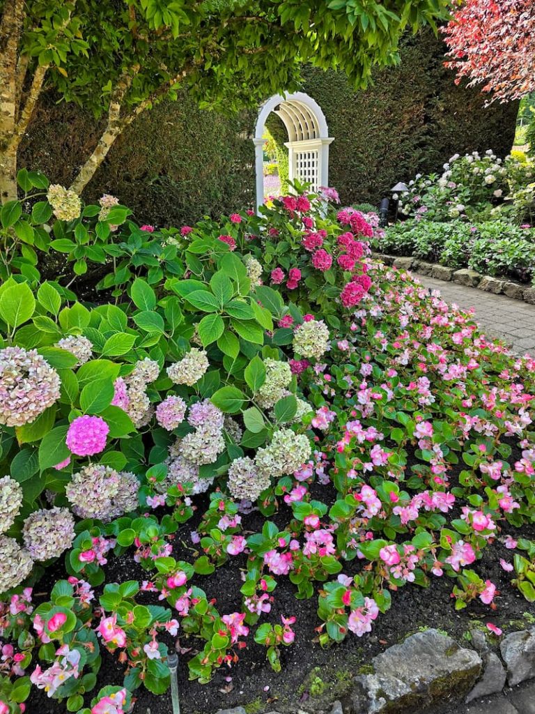 The Butchart gardens flowers