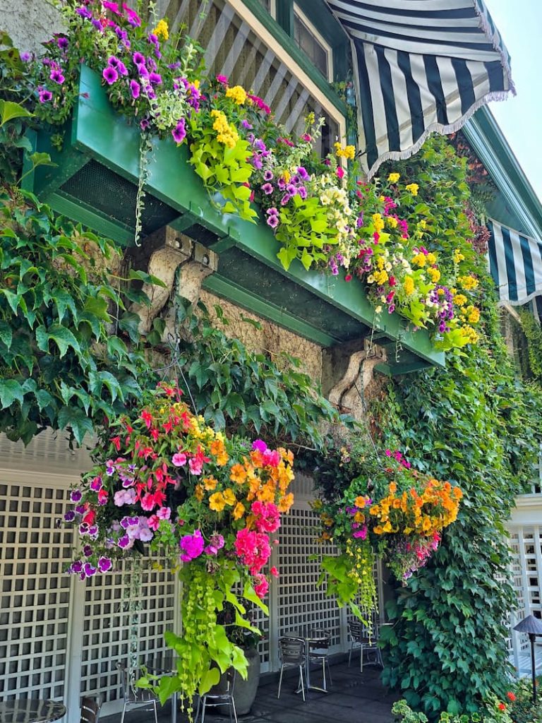 hanging baskets and window boxes full of summer flowers