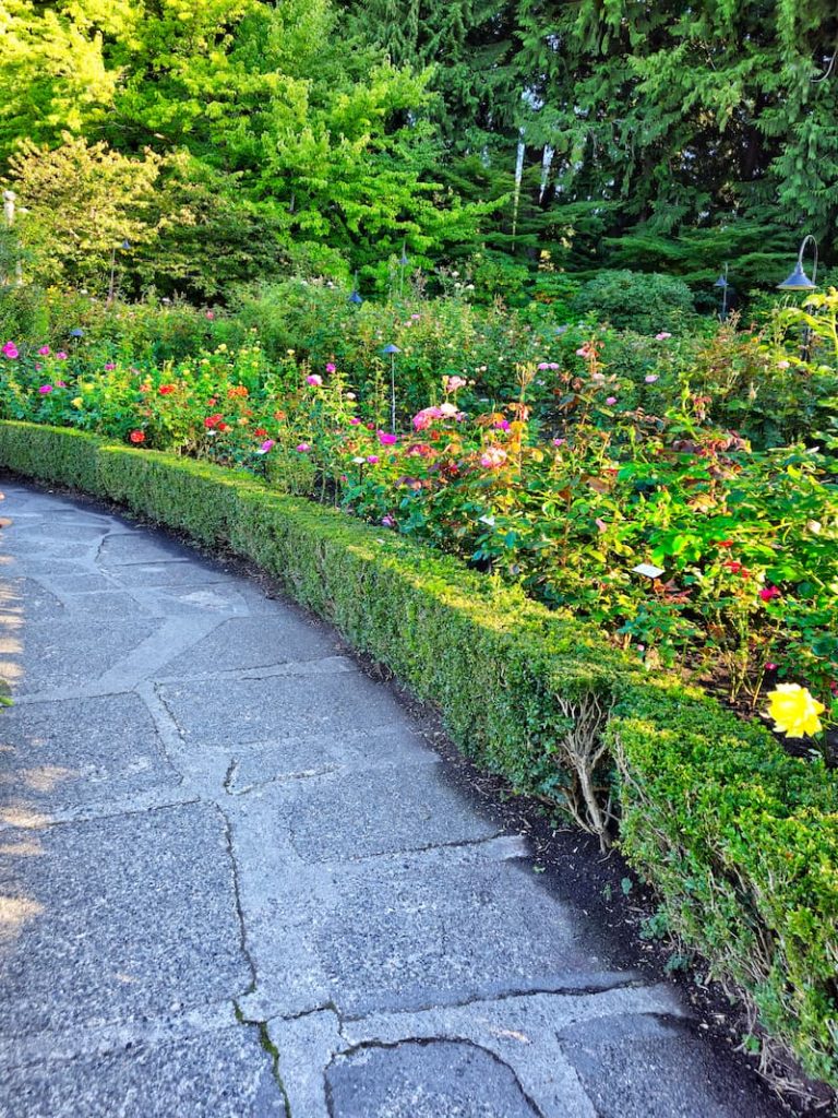 The Butchart Gardens rose garden with hedges and rose bushes labeled