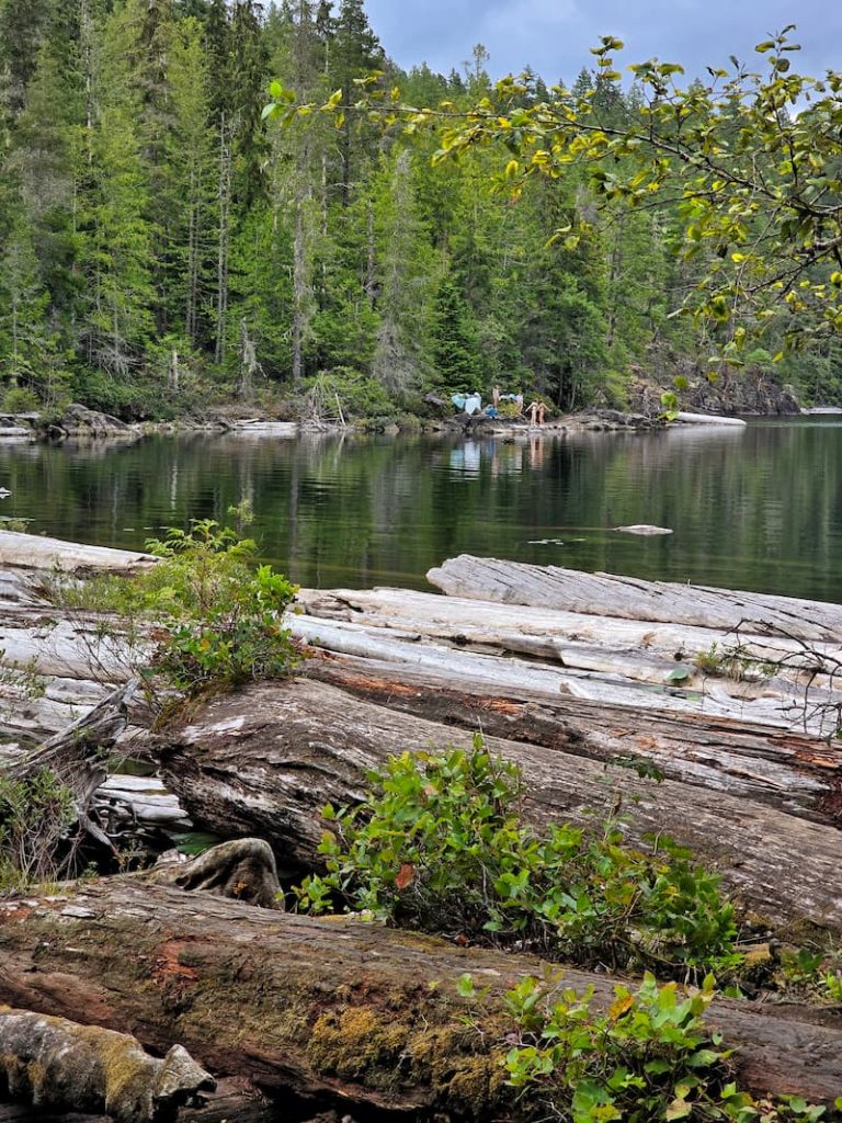 Unwin Lake view in front of the logs