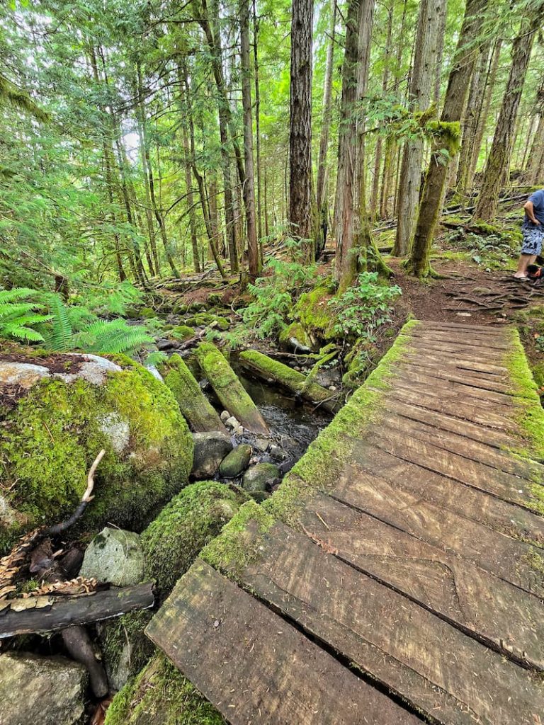 wooden bridge above the running stream