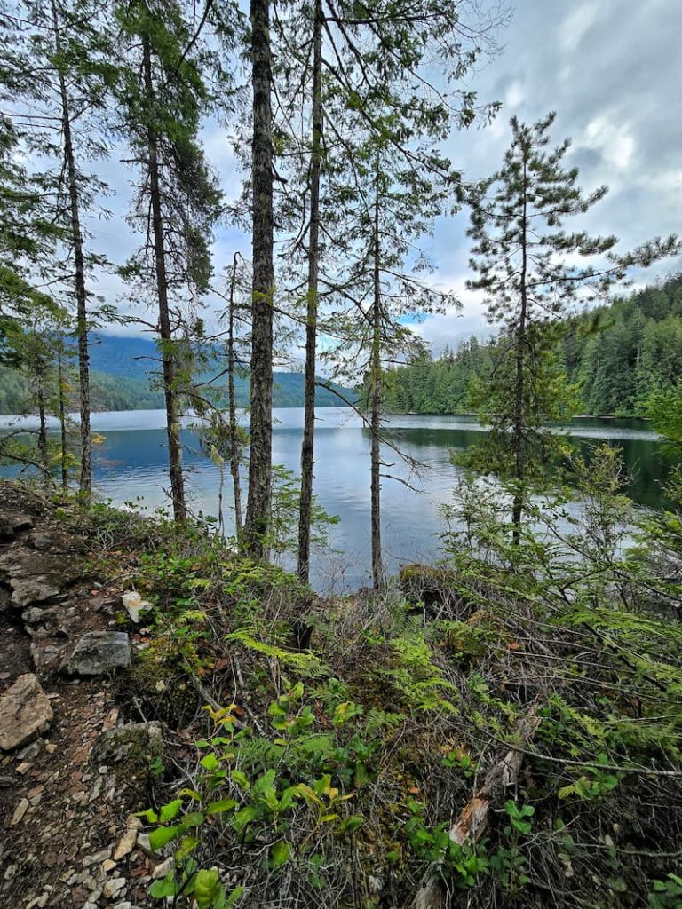 Unwin Lake through the trees